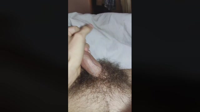 elmegaxxx2024